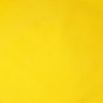Jersey Jaune