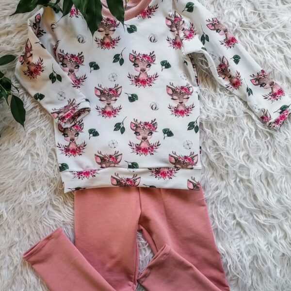 Ensemble Babydeer