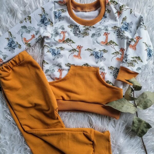 ensembles
