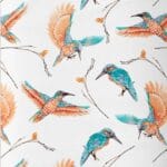 Sweat Blue bird