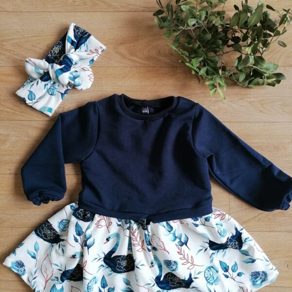 Ensemble Swan