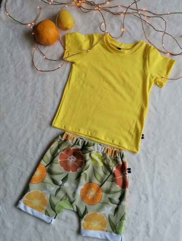 Ensemble Fresh