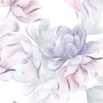 Sweat Aquarelle